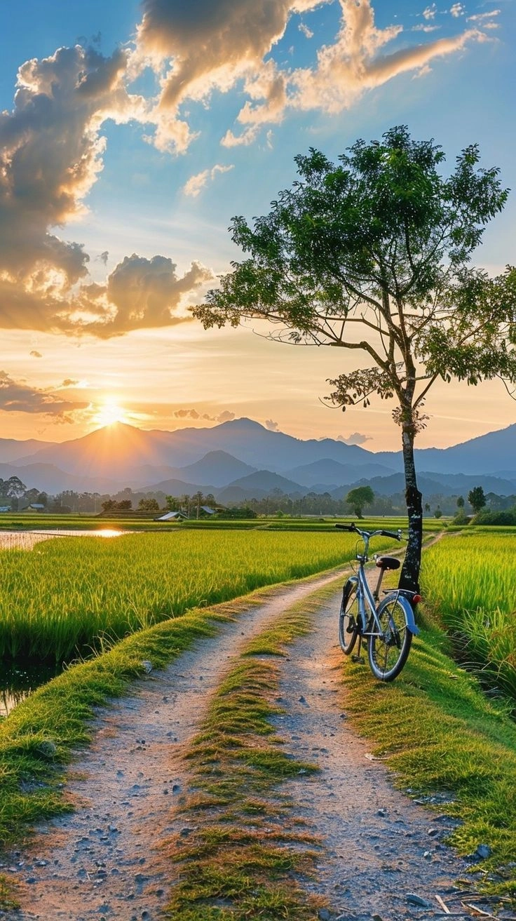 Beautiful Sunset Sky Images