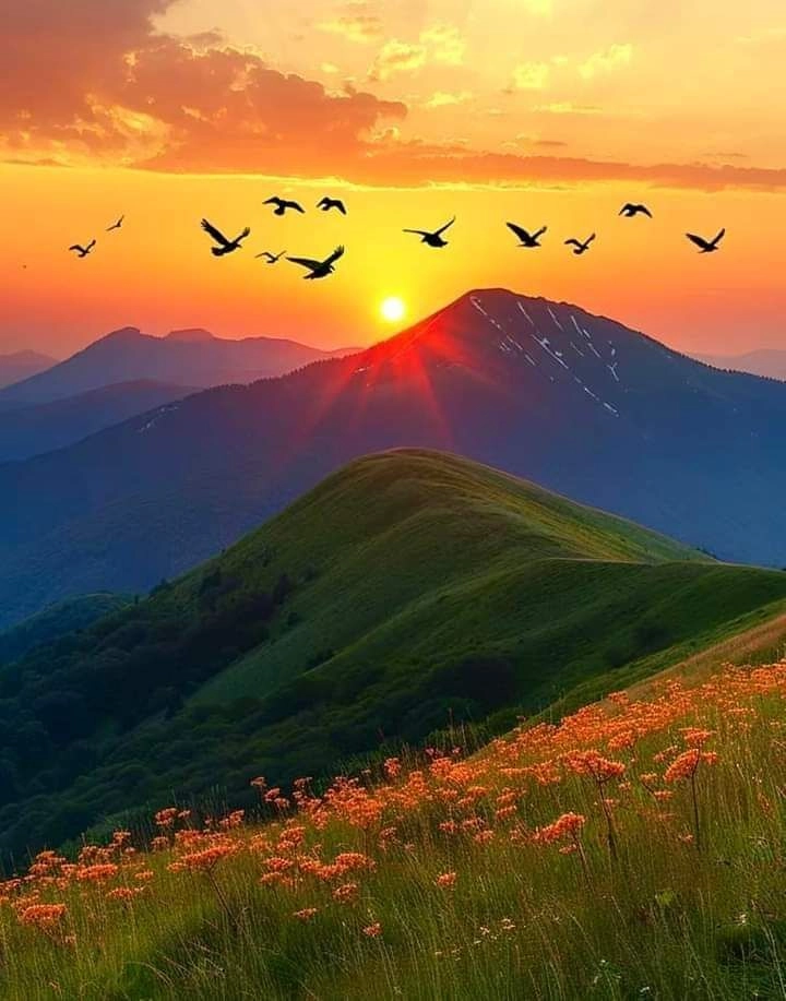 Beautiful Sunset Waves Photos