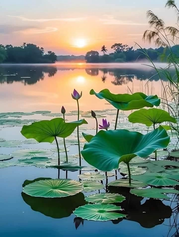 Beautiful Valley Sunset Images