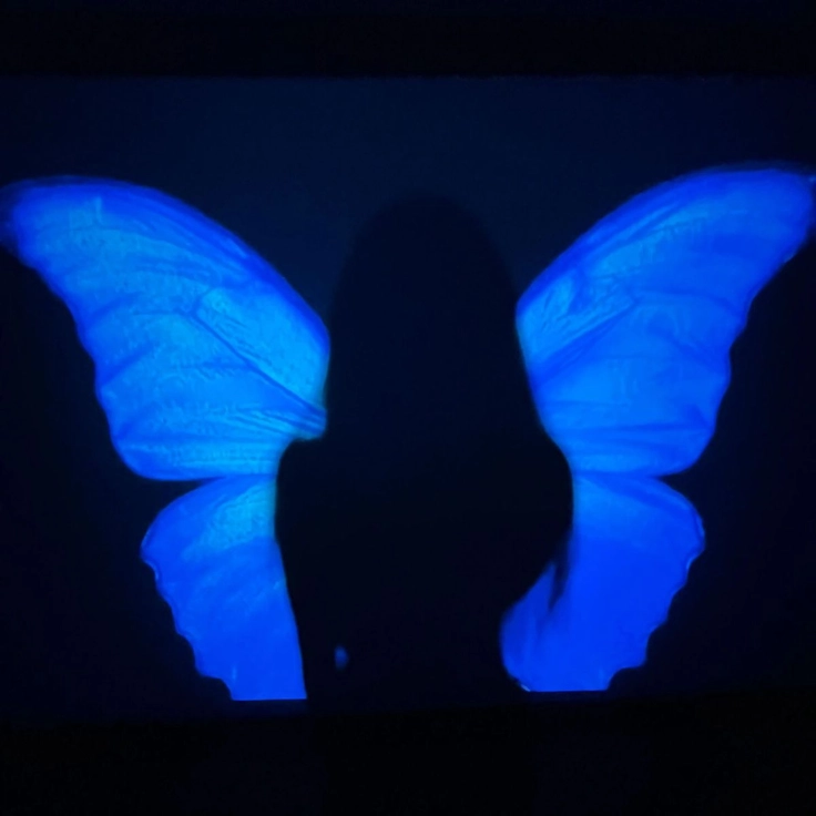 Black and Blue DP