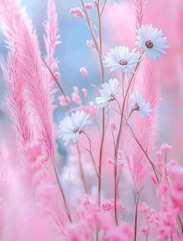 Pink Sparkle DP