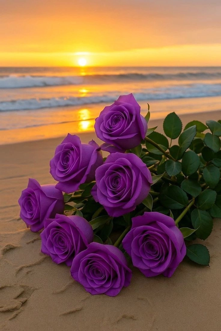Purple Colour DP for WhatsApp