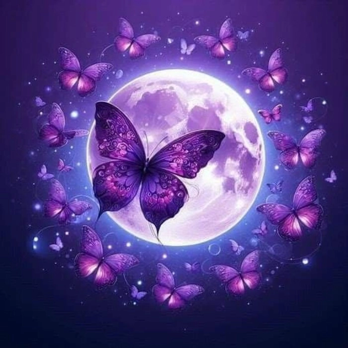 Purple Moon DP