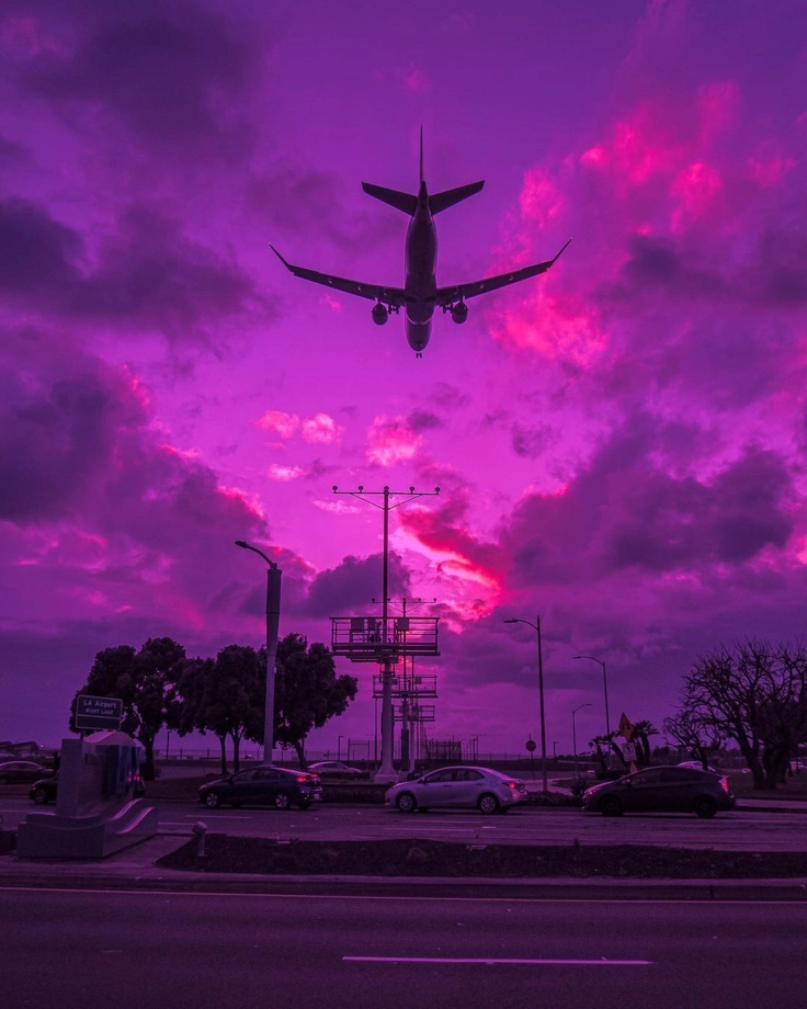 Purple Night DP