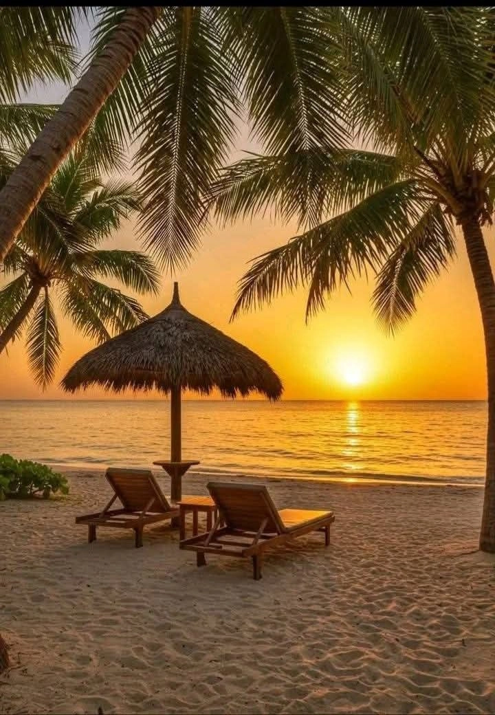 Sunset Beautiful Scenery Images