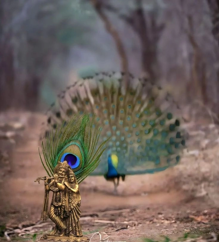 Unique Beautiful Images