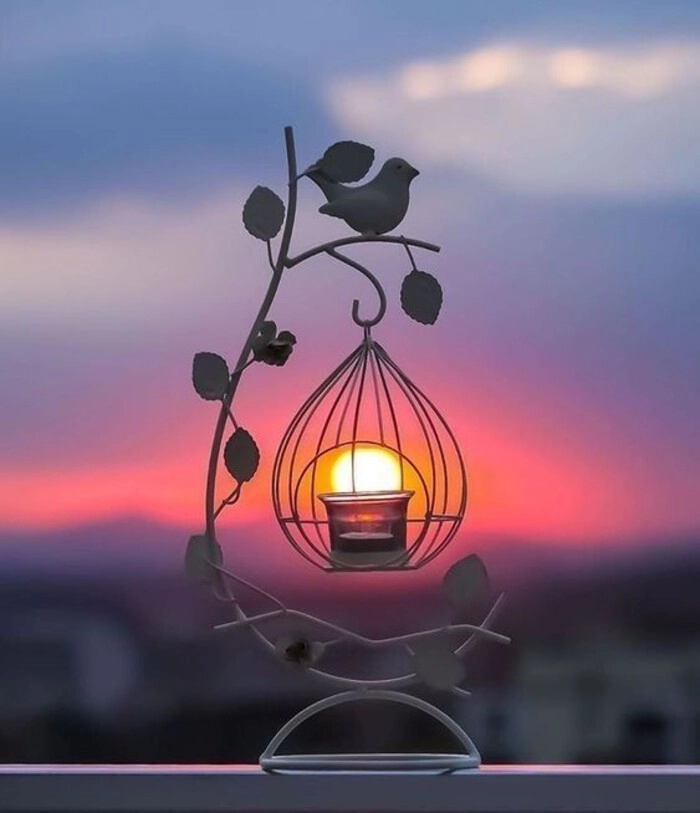 Unique Photo for WhatsApp DP