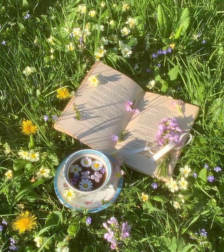 aesthetic whatsapp dp images