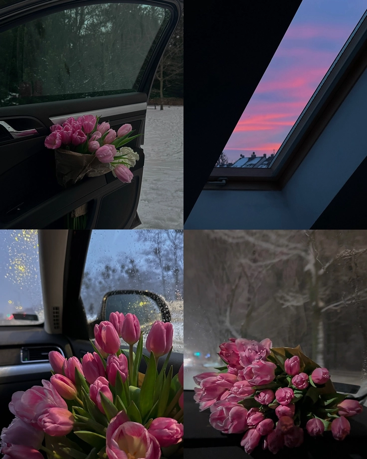 aesthetic pictures for dp 3