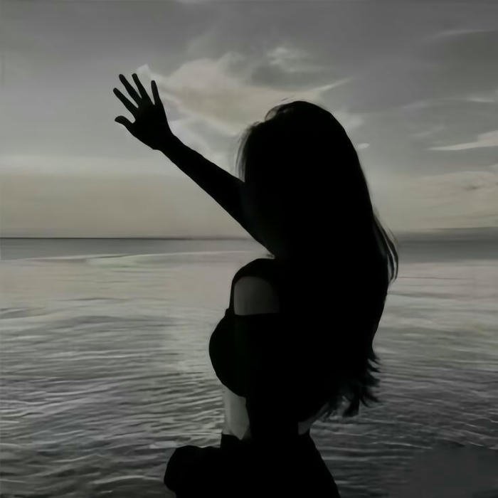 beautiful Hidden Face Girls DP