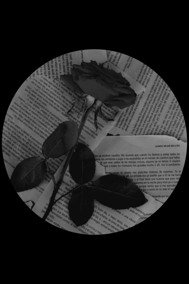 beautiful unique instagram dp