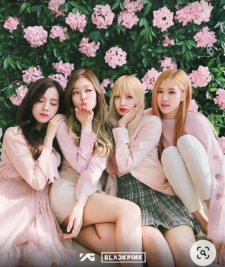 rose blackpink dp