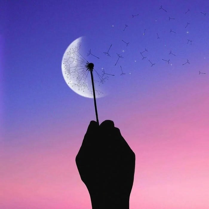 dark Aesthetic Pictures for DP