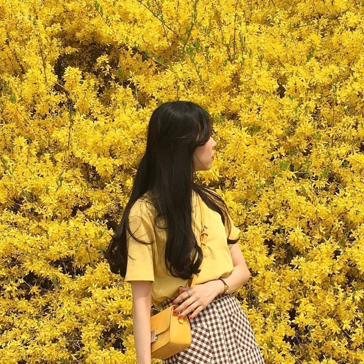 dp yellow for instagram