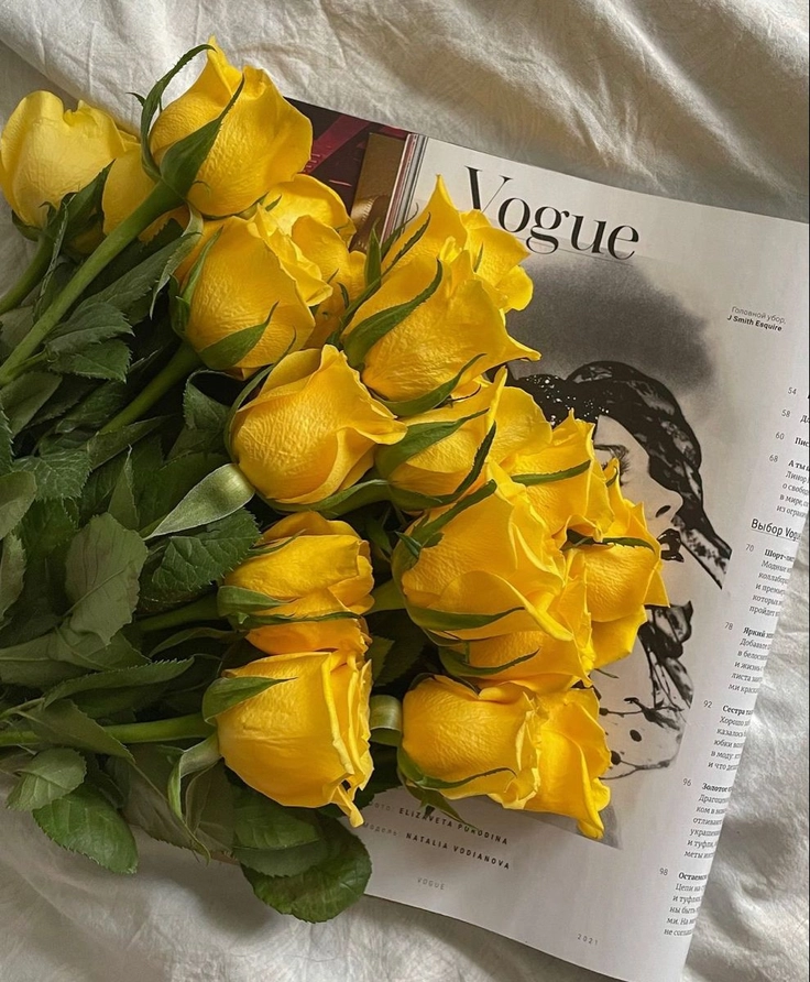 dp yellow rose