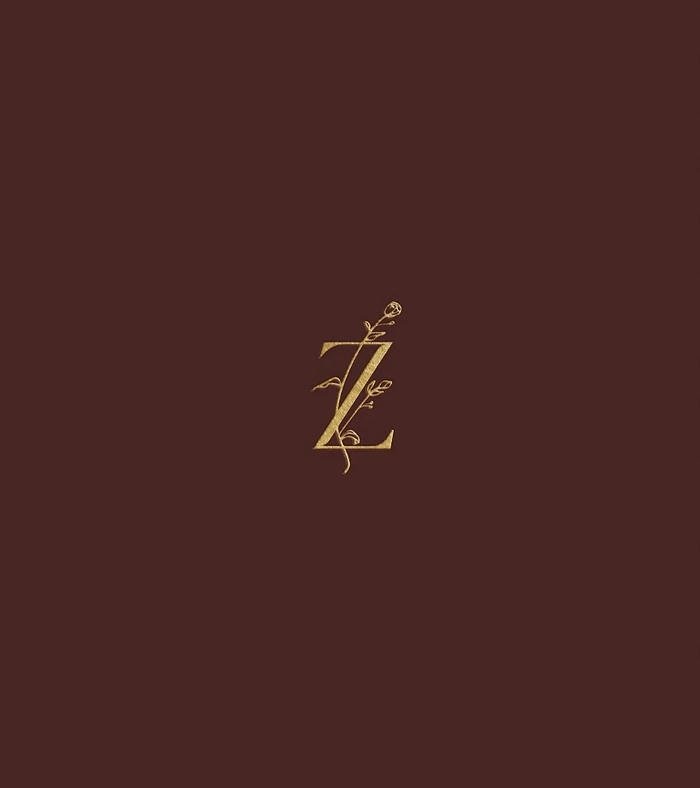 funny z letter dp photo