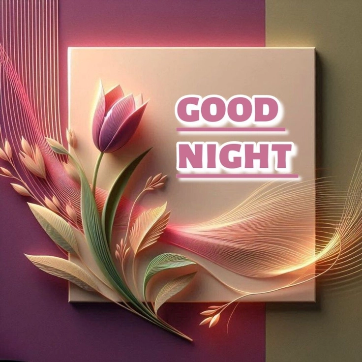good night dp 18