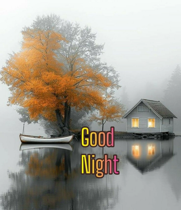 good night dp 39