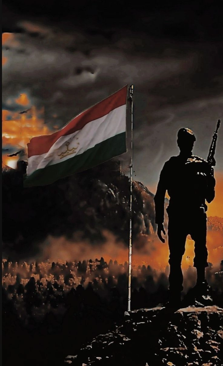 indian army flag dp