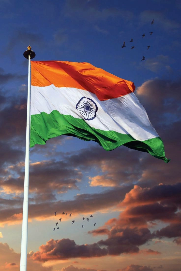 indian flag dp for whatsapp