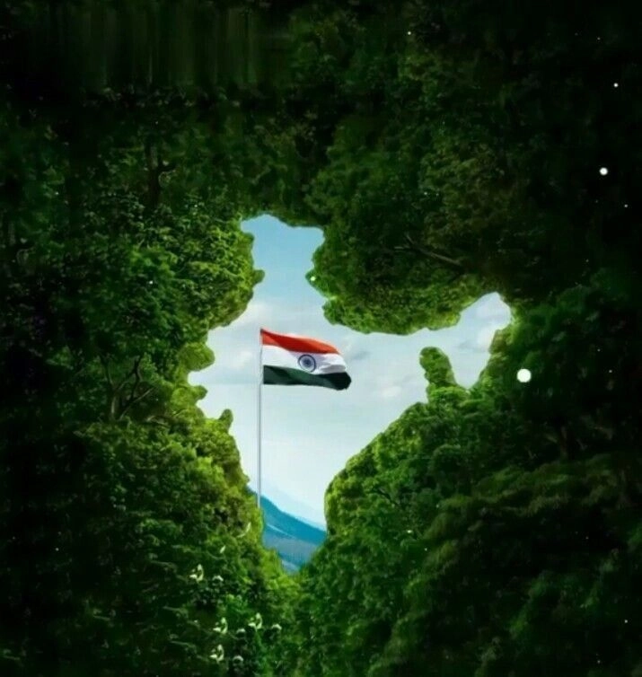 indian flag whatsapp dp download