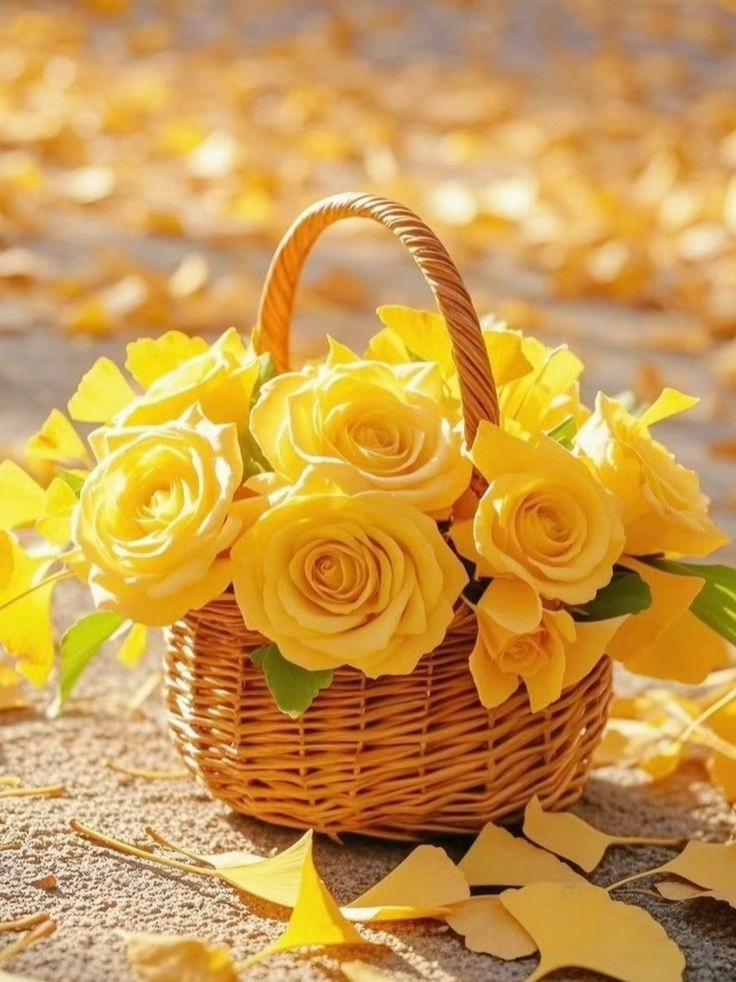 instagram yellow rose dp