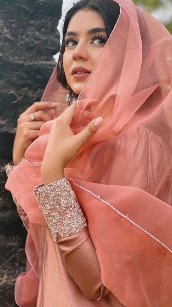 punjabi suit girl image