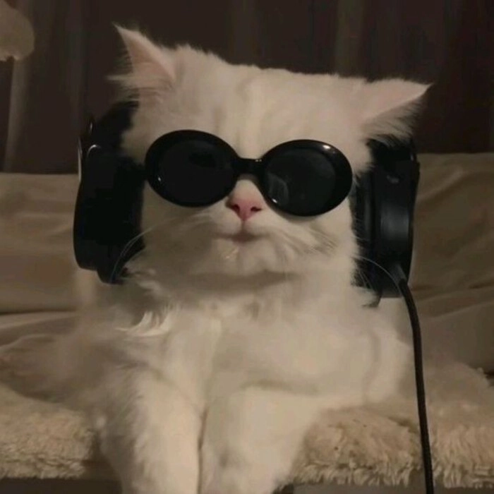 top unique dp for instagram