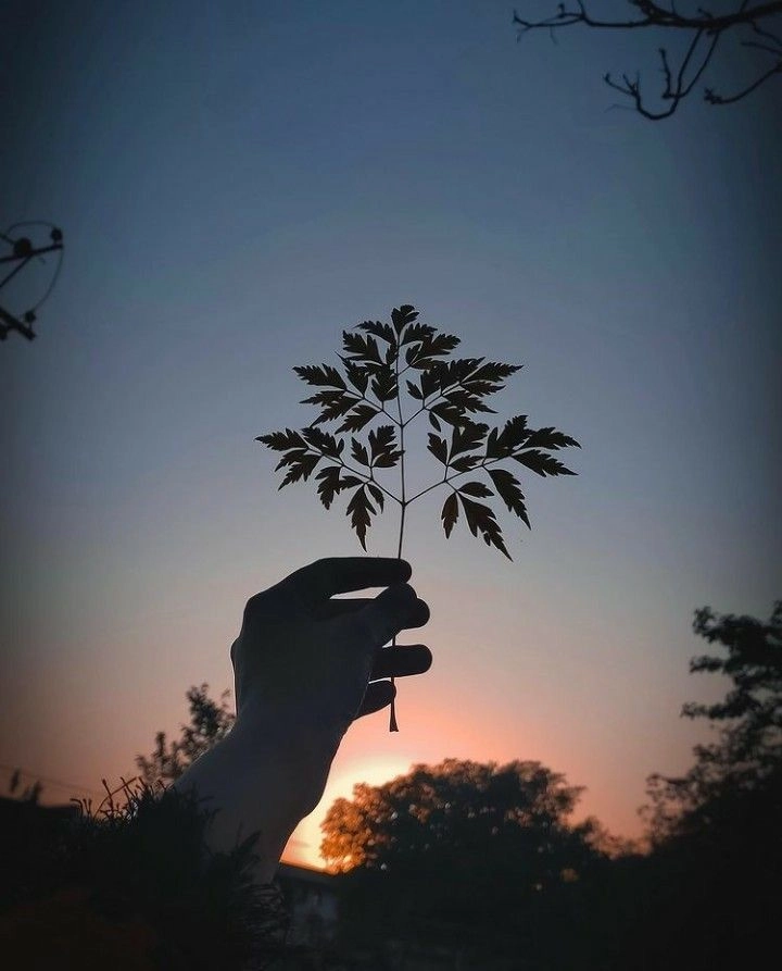 unique fashionable dp for instagram