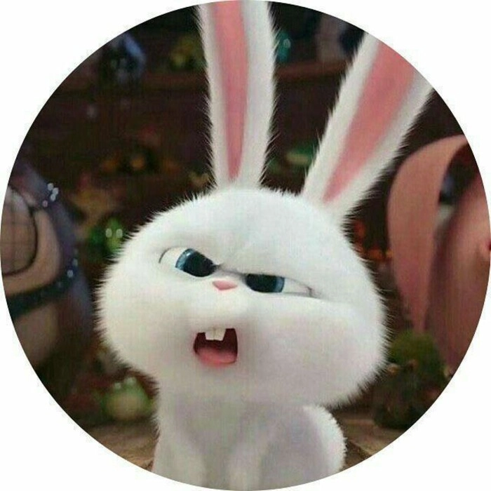 unique profile picture for instagram