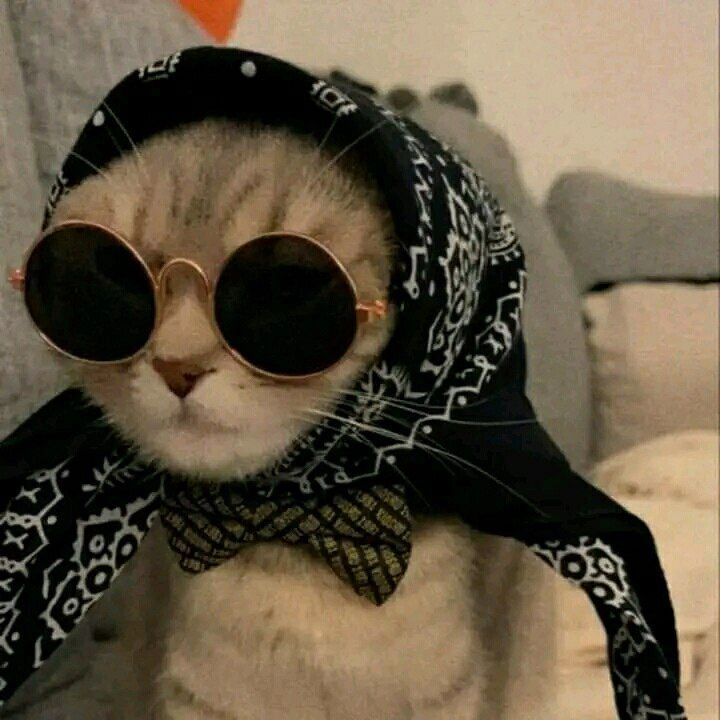 unique stylish instagram dp