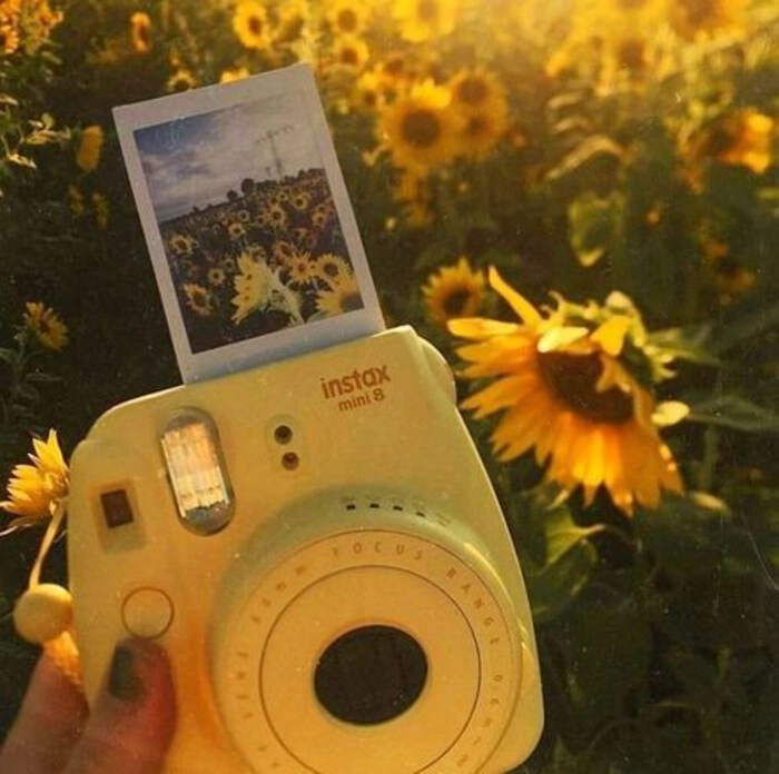 yellow theme dp