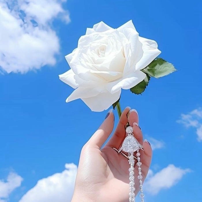 Beautiful Flowers Images for DP profile