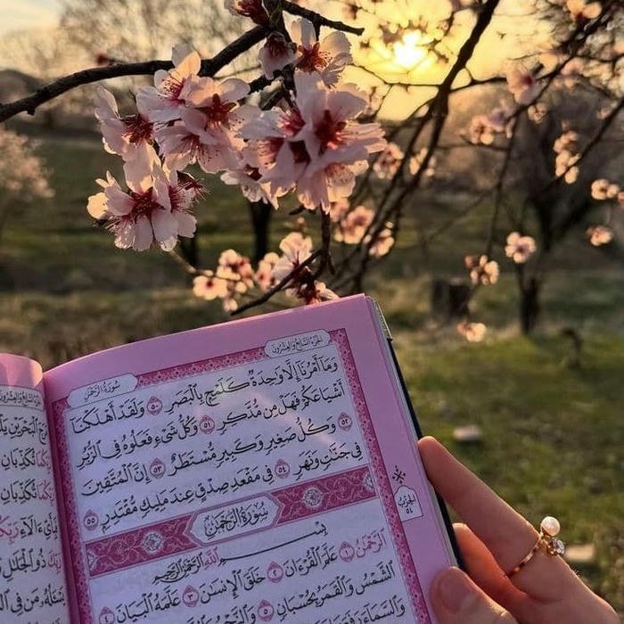 Cute Quran DP image