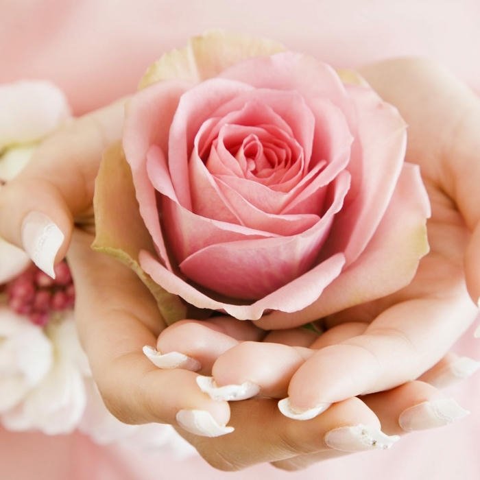 Cute charming Pink DP