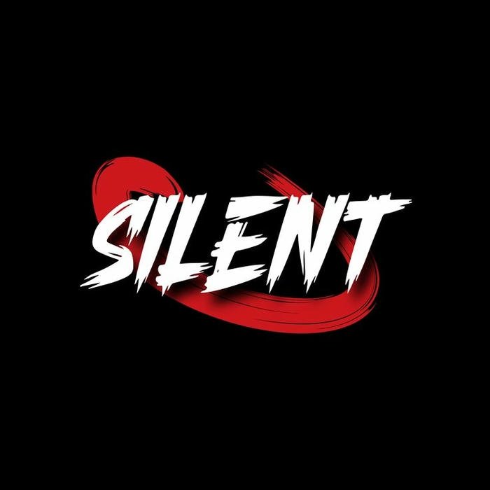 Silent WhatsApp DP look
