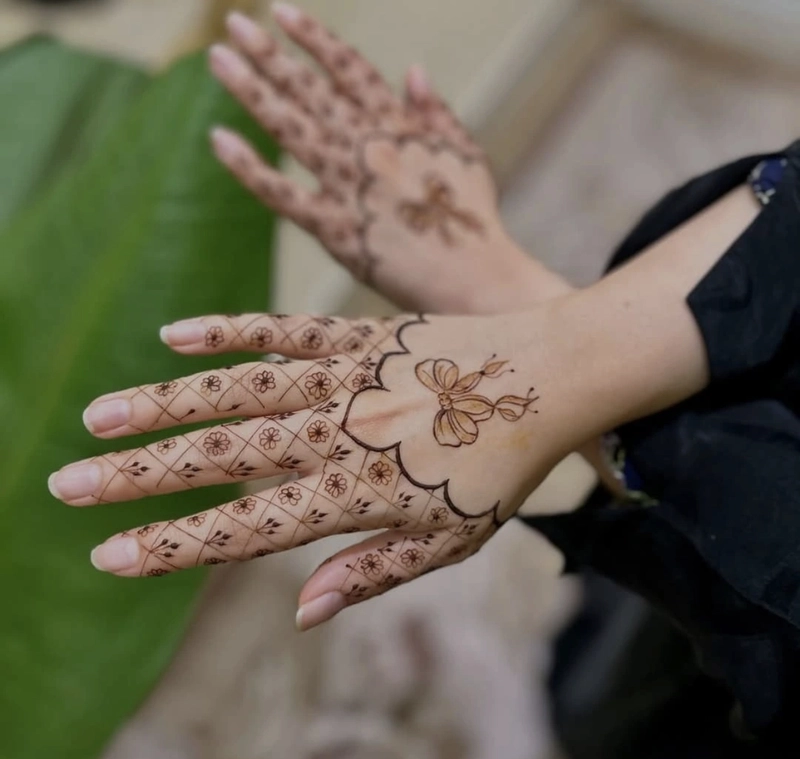 aesthetic mehndi design back hand full hand