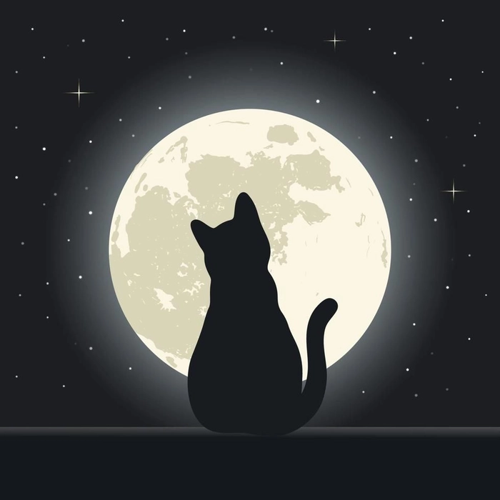 aesthetic moon and stars drawing