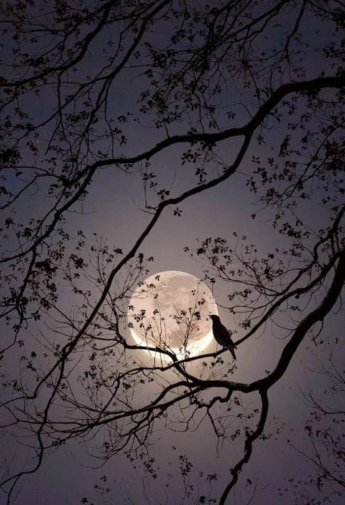 aesthetic moon drawing
