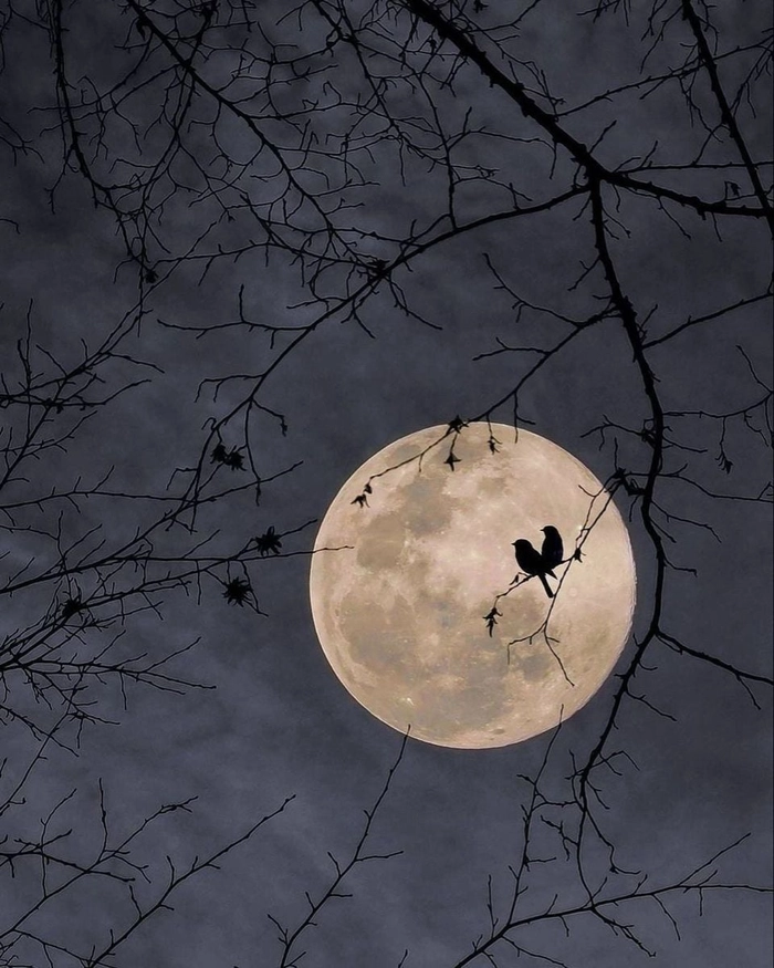 aesthetic moon photos