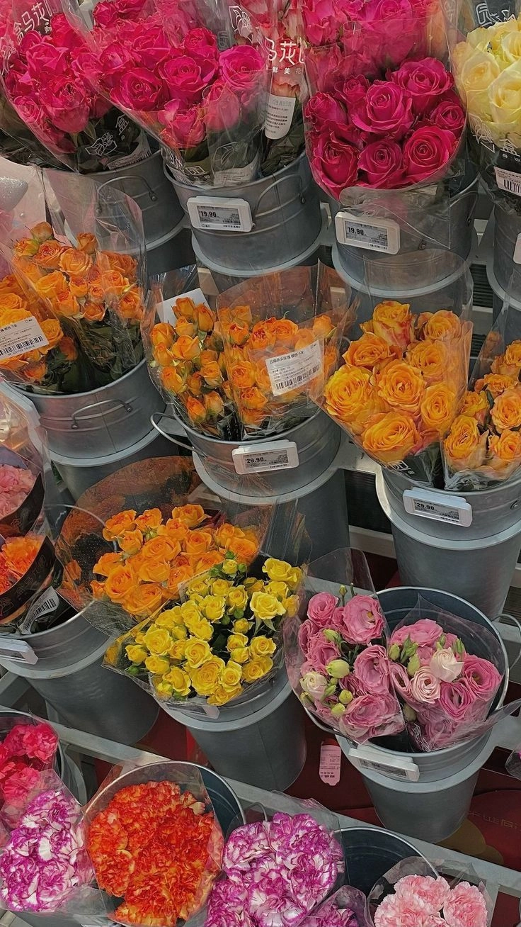 beautiful flowers background images for dp