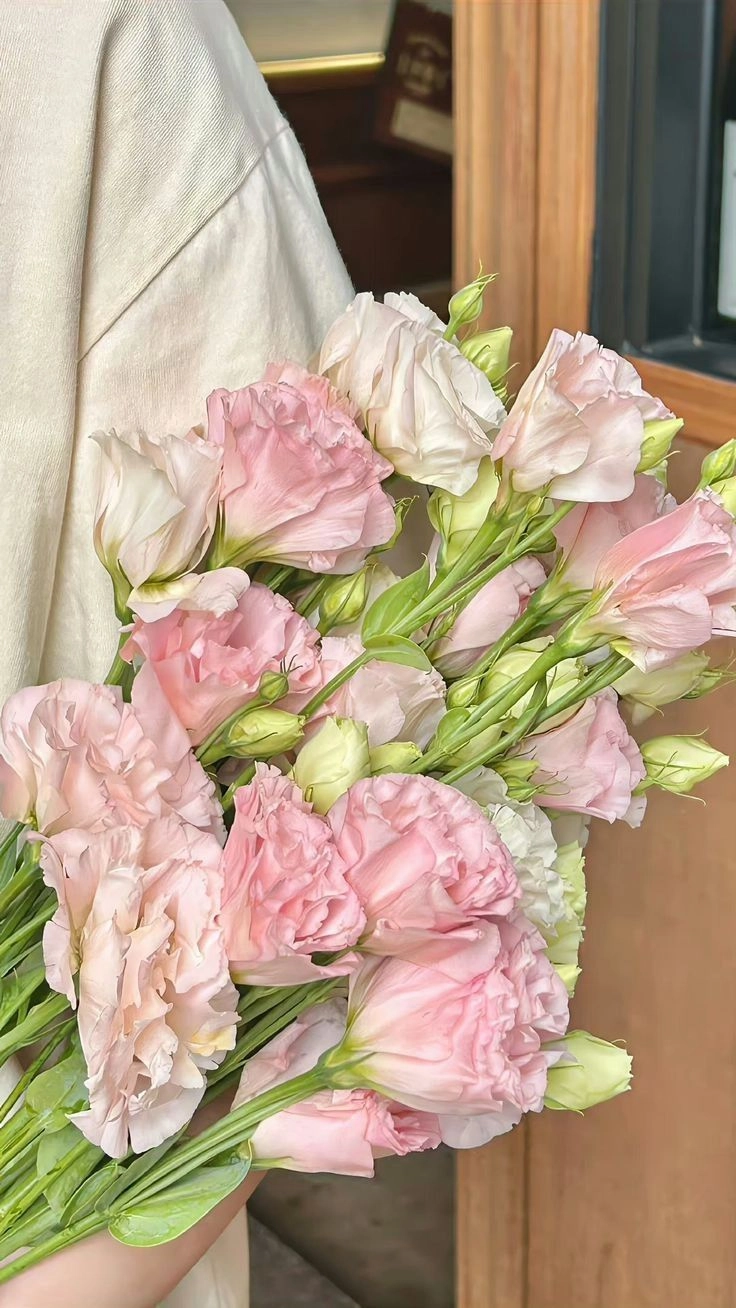 beautiful flowers for whatsapp dp