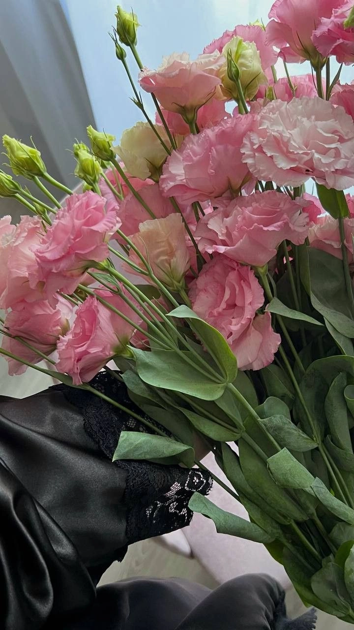 beautiful flowers pics for dp