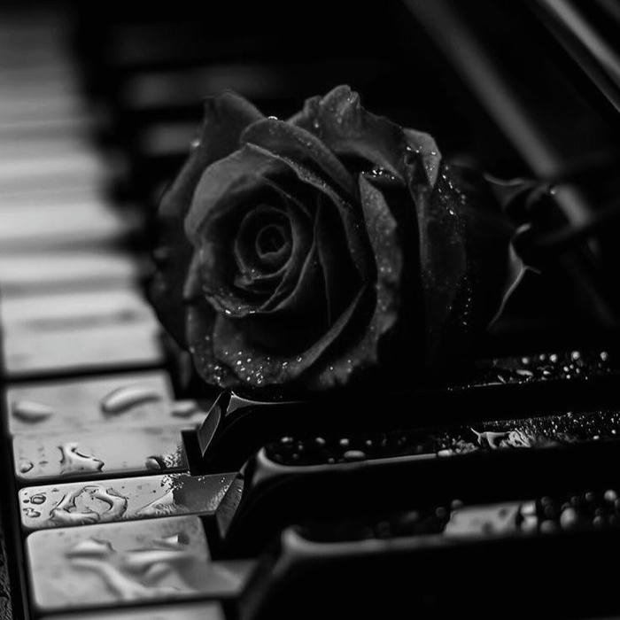 clean Black DP for WhatsApp