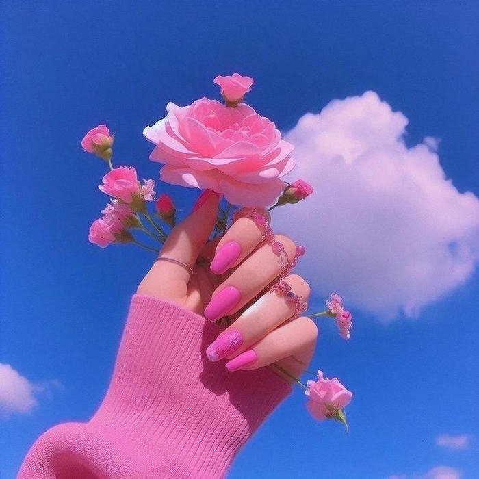 fresh Beautiful Flowers Images for DP