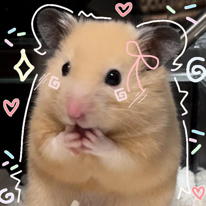 funny hamster pfp