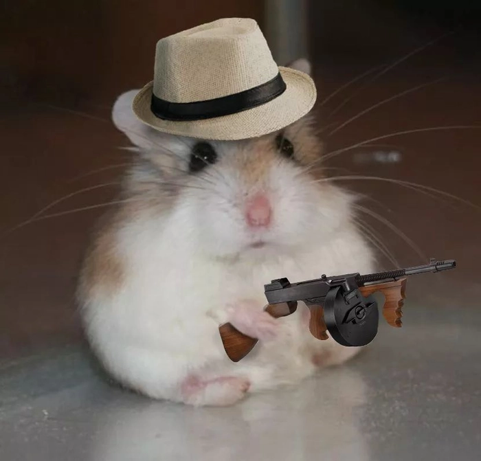 funny hamsters pfp