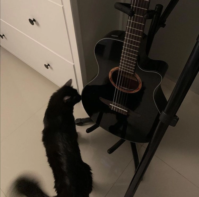 guitar dp whatsapp