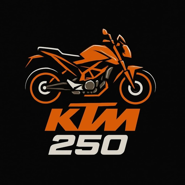 ktm duke 250 dp