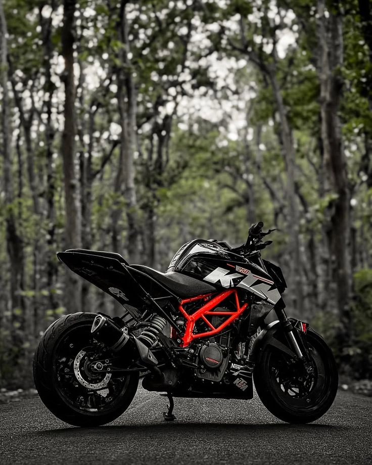 ktm duke dp photo